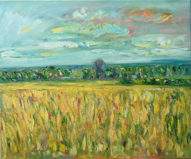 Field 1, 24&times;20